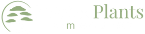 MasterPlants - Startseite